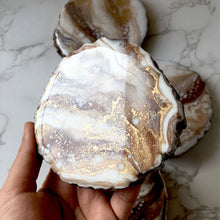 Load image into Gallery viewer, Coke Float - Bark Edged Mango Wood Coaster Set