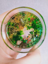 Load image into Gallery viewer, Snorkeller's Bliss - Votive (Small)