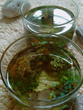 Load image into Gallery viewer, Snorkeller's Bliss - Votive (Small)