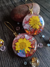Load image into Gallery viewer, Delightful Daisy, Dried Flower Earrings -  Spring Fiesta Reloaded