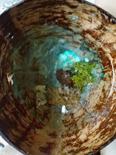 Load image into Gallery viewer, Andamans, the Shallow Shores & Beyond... - Versatile Deco-Bowl