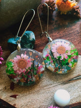 Load image into Gallery viewer, A Wild Daisy, Dried Flower Earrings -  Spring Fiesta Reloaded
