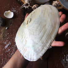 Load image into Gallery viewer, MOP Ocean Decor (Medium)