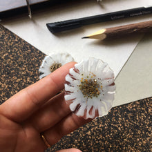 Load image into Gallery viewer, Daisy - Magnet Pin Pair