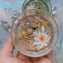 Load image into Gallery viewer, Dance of the Daisy - Votive (Small)