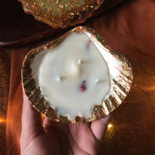 Load image into Gallery viewer, Shell'ebrate - Rose Soy Shell Candle Set Box