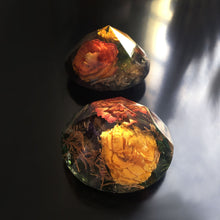 Load image into Gallery viewer, Wild Roses - Preserved Flower Paper Weight (Set of 1)