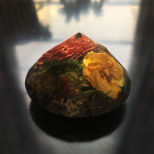 Load image into Gallery viewer, Wild Roses - Preserved Flower Paper Weight (Set of 1)