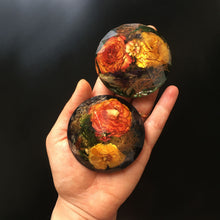 Load image into Gallery viewer, Wild Roses - Preserved Flower Paper Weight (Set of 1)