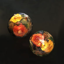 Load image into Gallery viewer, Wild Roses - Preserved Flower Paper Weight (Set of 1)