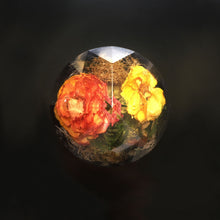 Load image into Gallery viewer, Wild Roses - Preserved Flower Paper Weight (Set of 1)
