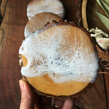 Load image into Gallery viewer, Water & Sand - Bark Edged Mango Wood Coasters (Set of 4)